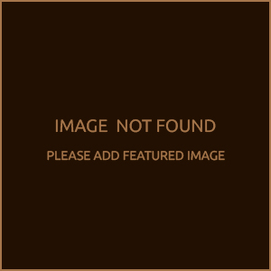 Media: Twitter Embeds